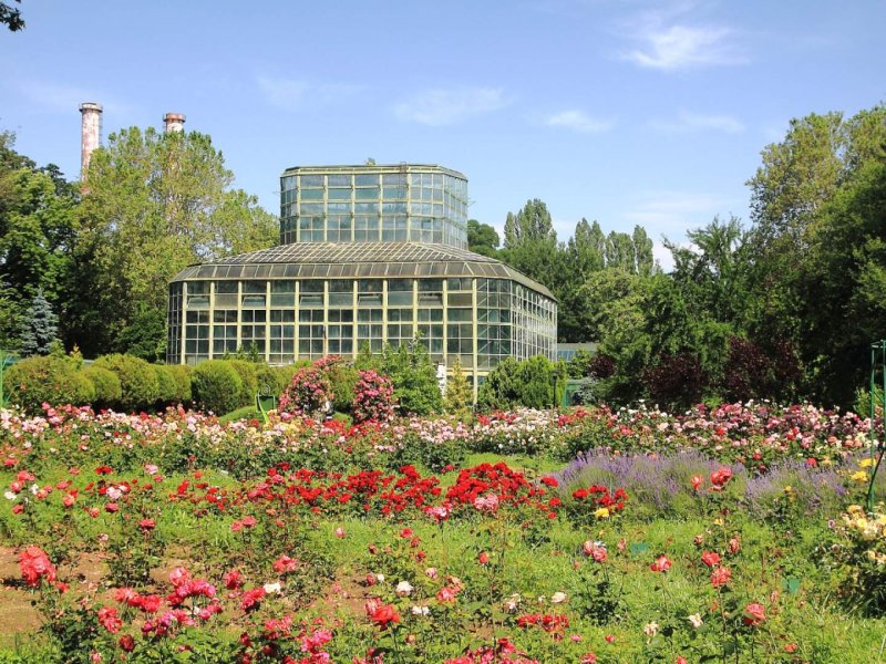 Dimitrie Brandza Botanical Garden - Discover this place in Bucharest